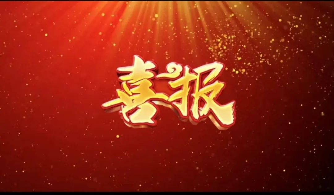 荣誉 | 瓦力游戏荣获&ldquo;2023年杜着秀合作同伴奖，共建共享共赢的范例&rdquo;